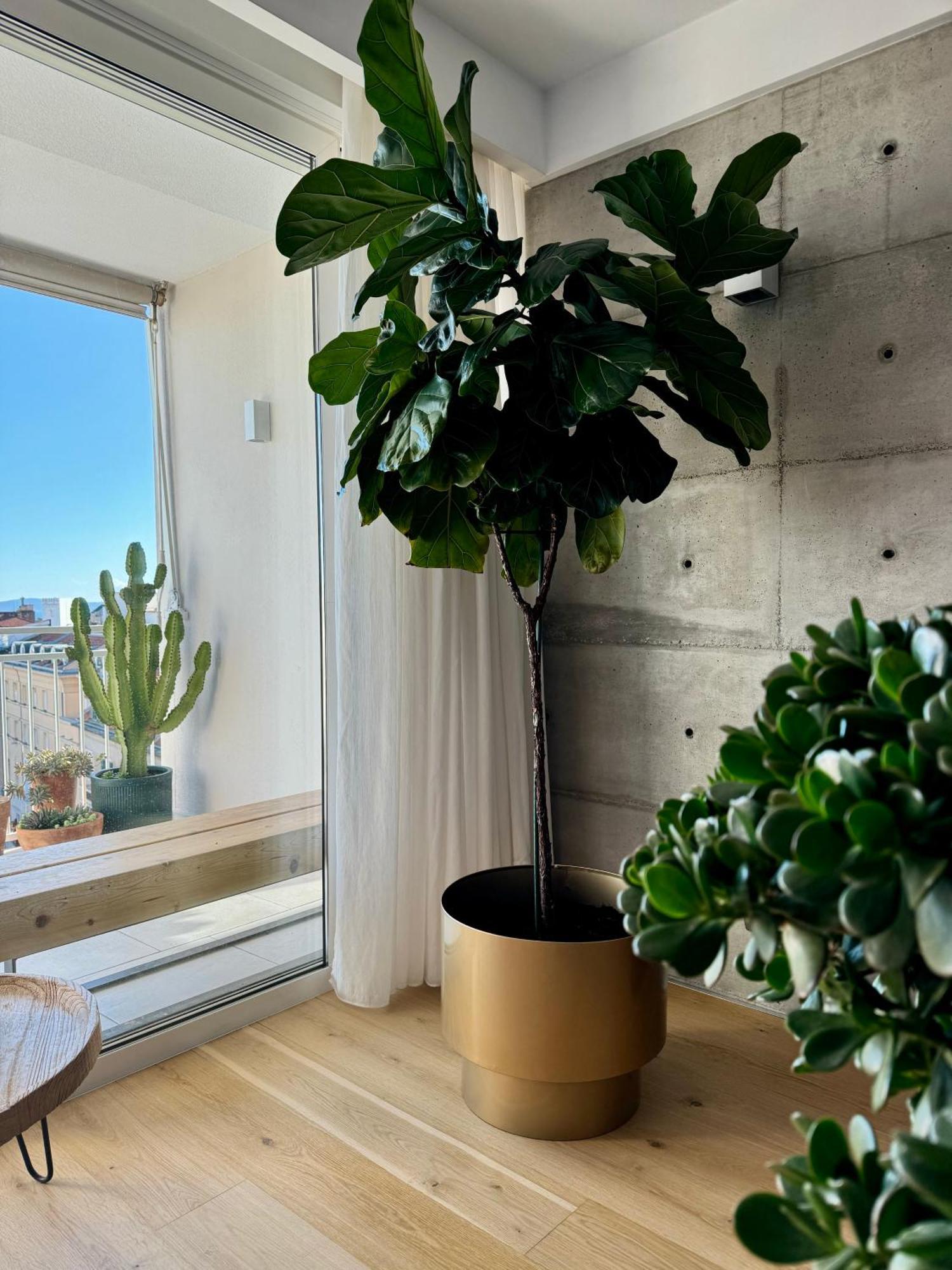 Appartement D'Art Penthouse à Split Extérieur photo